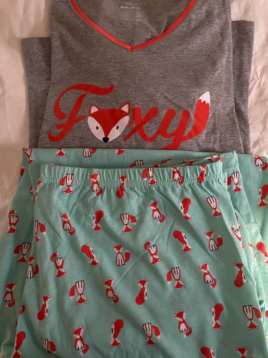 Secret Treasures Other - Secret Treasures Gray & Mint Fox Pajama Set NWOT